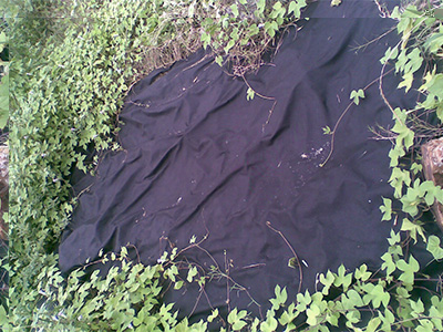 Agriculture Covers 7, KOSA